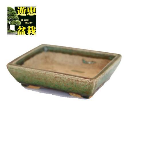 盆栽小鉢：忠寛　足付長方鉢　15ｃｍ【現】*資材