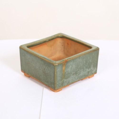 盆栽小鉢：初代 東福寺 正方鉢 10.6cm【現品】*資材 : p6251v : 遊恵 