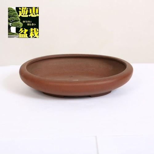 鉢：常滑作家　柴勝　楕円鉢　17.6ｃｍ　【現品】*資材