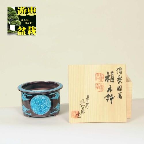 盆栽鉢　昭山 楽天市場】 昭山鉢 : 盆栽専門店 三浦培樹園