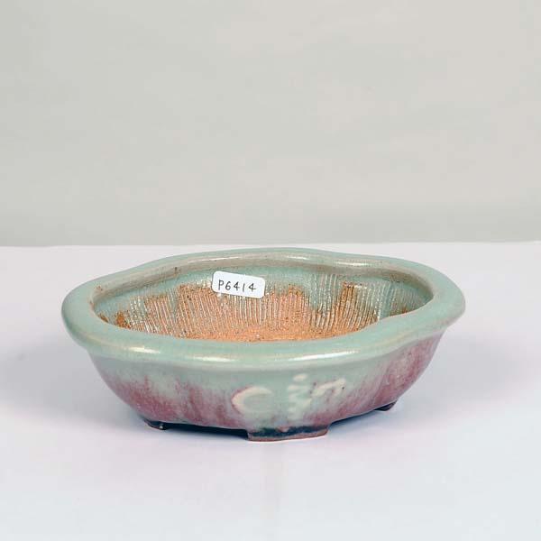 現代小鉢：平安虹泉　モッコ鉢　14.5ｃｍ【現】*資材