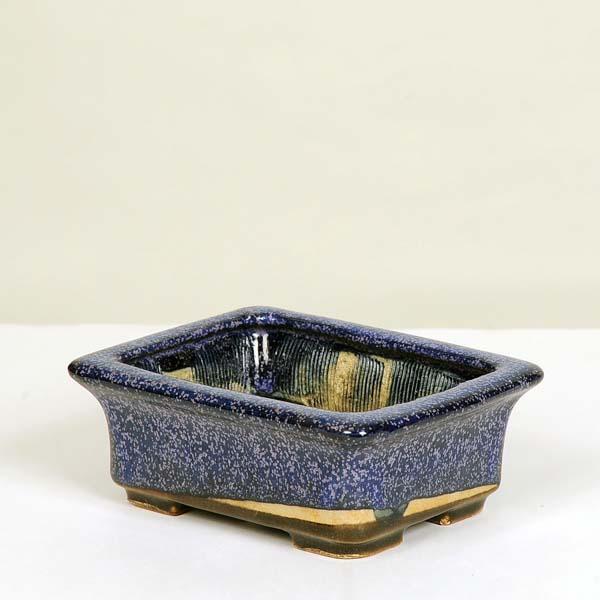 現代小鉢：平安虹泉　縁付長方鉢　12.3ｃｍ【現】*資材