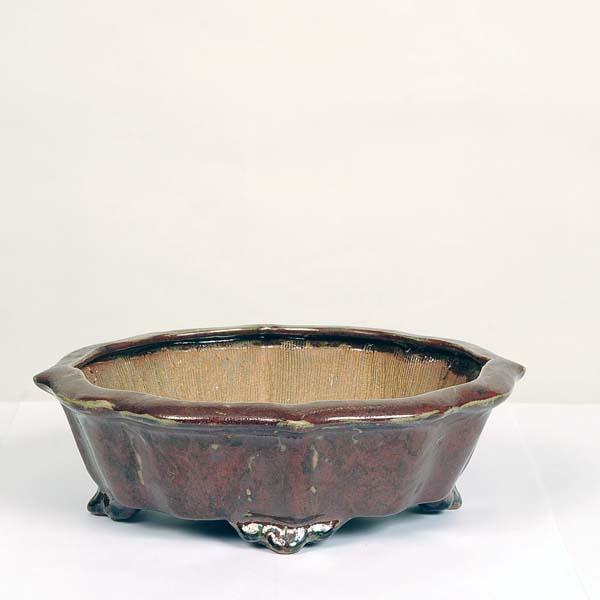 現代小鉢：平安虹泉　剣モッコ鉢　25.5ｃｍ【現】*資材