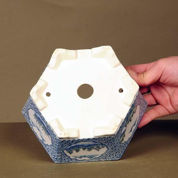現代小鉢：祥石(二代目) 六角鉢 16.8cm【現】*資材 : 遊恵盆栽