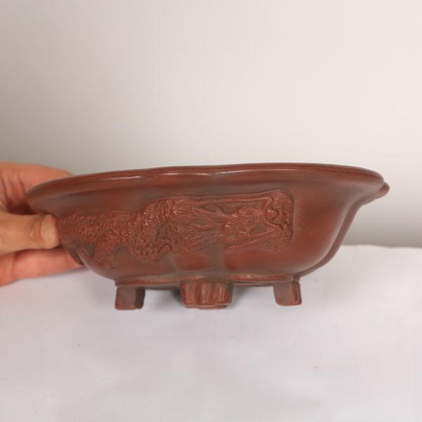 盆栽小鉢：美芸（常滑）モッコ形足付浅龍付鉢 21.9cm*資材 : 遊恵盆栽