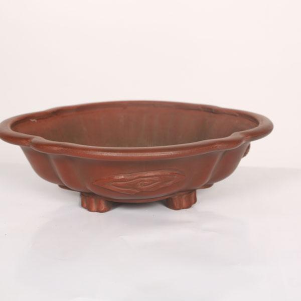 盆栽小鉢：美芸（常滑）モッコ形足付浅龍付鉢 21.9cm*資材 : 遊恵盆栽