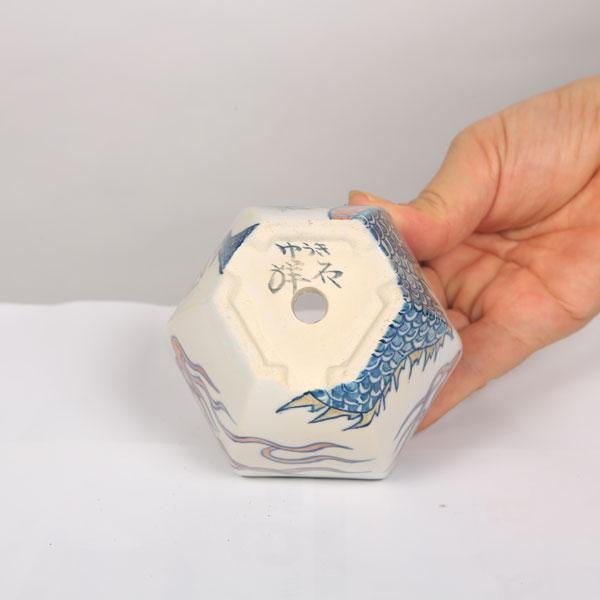 現代小鉢：祥石（二代目） 六角鉢 7.7cm【現】*資材 : 遊恵盆栽