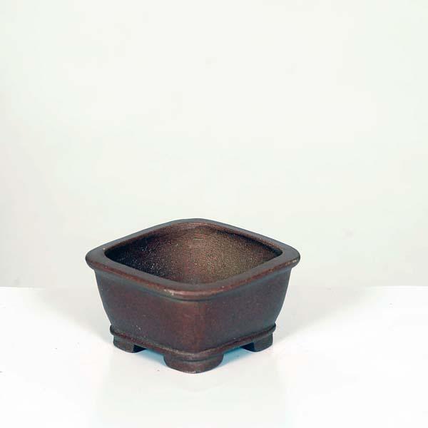 現代小鉢：柴勝 正方鉢 6.6cm【現】*資材 : 遊恵盆栽 Yahoo!店