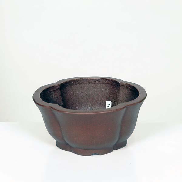 現代小鉢：柴勝 輪花鉢 12.2cm【現】*資材 : 遊恵盆栽 Yahoo!店