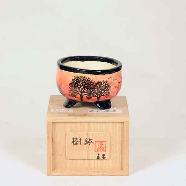 盆栽鉢　岡田孟善 現代小鉢：岡田孟善 丸鉢 7.1cm【現】*資材 : 遊恵盆栽 Yahoo