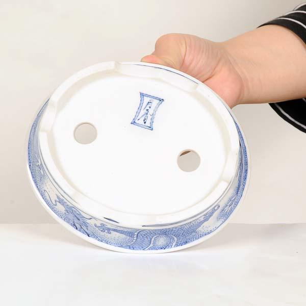 現代小鉢：月香 楕円鉢 16.0cm【現】*資材 : 遊恵盆栽 Yahoo!店 - 通販