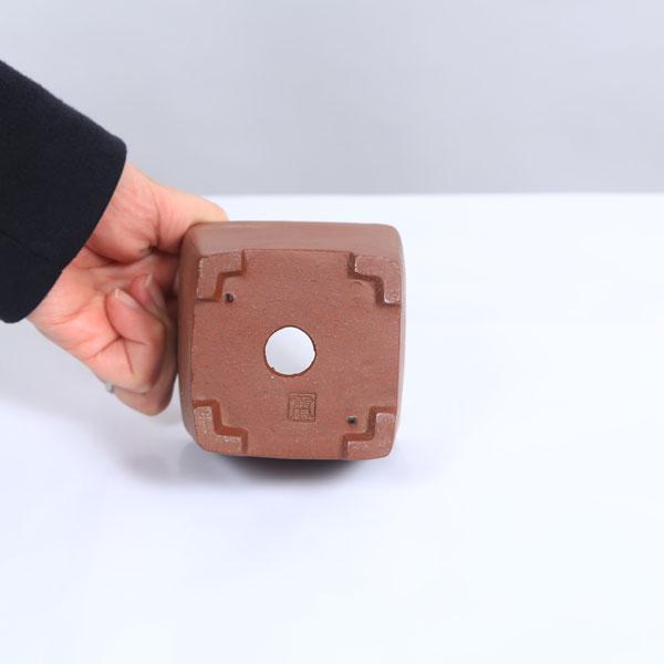 現代小鉢：柴勝 正方鉢 8.2cm【現】 : 遊恵盆栽 Yahoo!店 - 通販