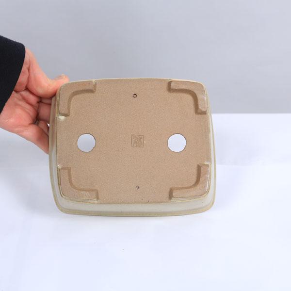 現代小鉢：柴勝 長方鉢 16.0cm【現】 : 遊恵盆栽 Yahoo!店 - 通販