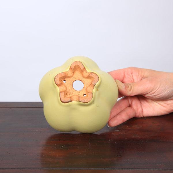 鉢：服部　輪花鉢　10.7ｃｍ【現品】*　資材_1