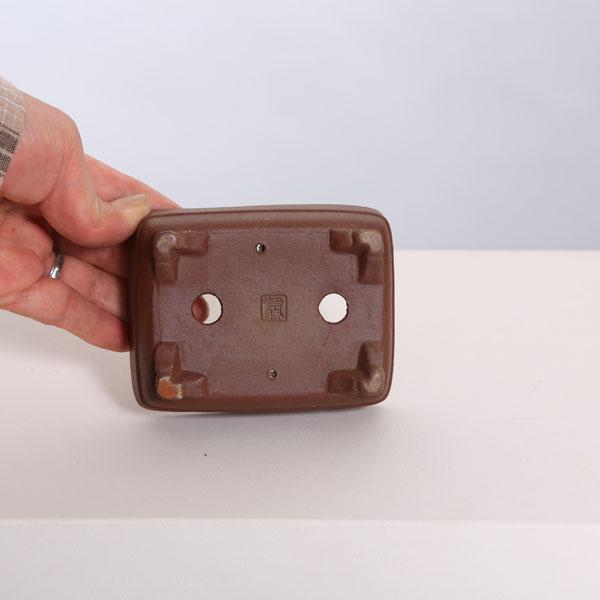 現代小鉢：柴勝 長方鉢 10.0cm【現】 : 遊恵盆栽 Yahoo!店 - 通販