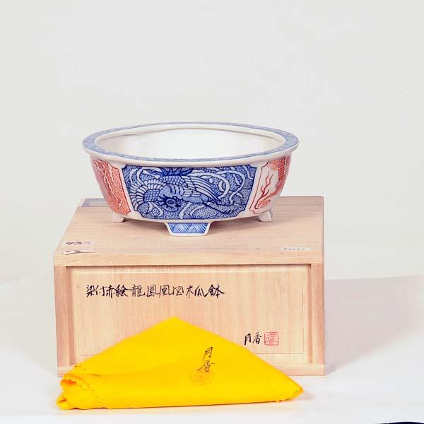 現代小鉢：月香 モッコ鉢 15.4cm【現】 : 遊恵盆栽 Yahoo!店 - 通販