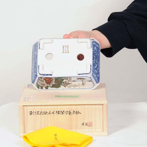 現代小鉢：月香 長方鉢 14.7cm【現】 : 遊恵盆栽 Yahoo!店 - 通販