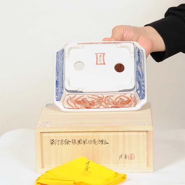 現代小鉢：月香 長方鉢 16.0cm【現】 : 遊恵盆栽 Yahoo!店 - 通販