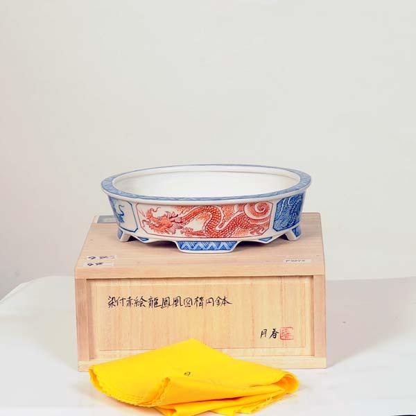 現代小鉢：月香 楕円鉢 15.8cm【現】 : 遊恵盆栽 Yahoo!店 - 通販
