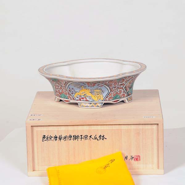 現代小鉢：月香 モッコ鉢 18.3cm【現】 : 遊恵盆栽 Yahoo!店 - 通販