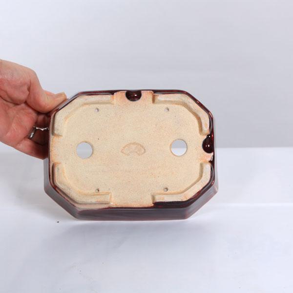 現代小鉢：鴻陽 長方鉢 18.5cm【現品】 : 遊恵盆栽 Yahoo!店 - 通販