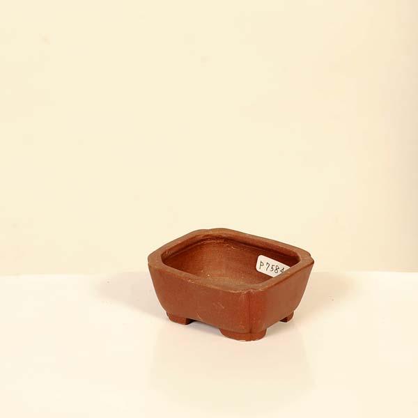 現代小鉢：柴勝 長方鉢【現品】*shibakatu 7.0cm : 遊恵盆栽 Yahoo!店