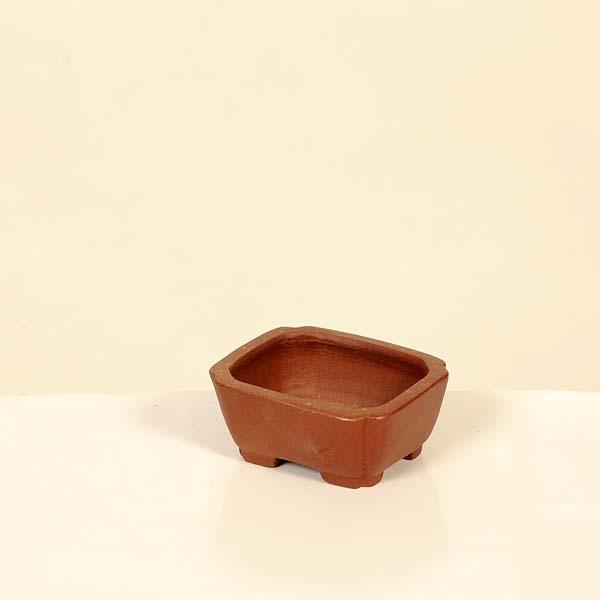 現代小鉢：柴勝 長方鉢【現品】*shibakatu 7.0cm : 遊恵盆栽 Yahoo!店
