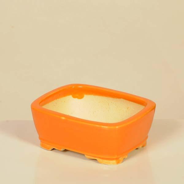 柴勝　盆栽鉢　長方 楽天市場】現代小鉢：柴勝 長方鉢【現品】*shibakatu 13.2cm