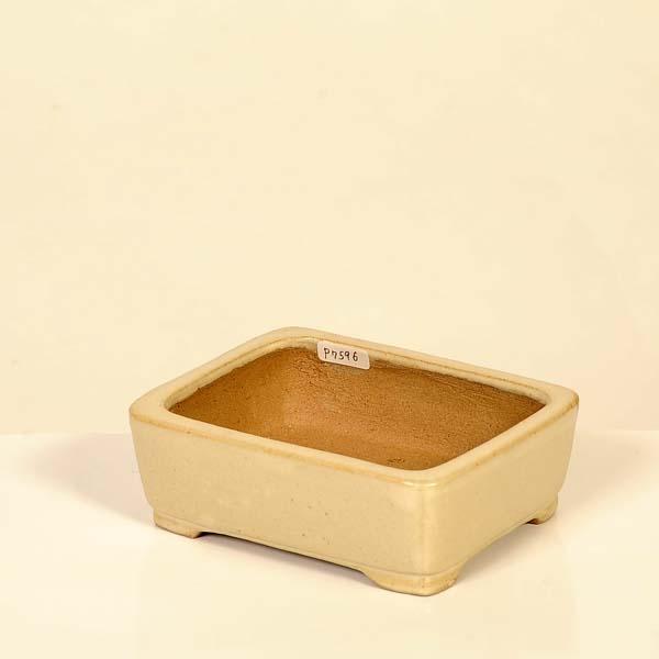現代小鉢：柴勝 長方鉢【現品】*shibakatu 12.6cm : 遊恵盆栽 Yahoo!店