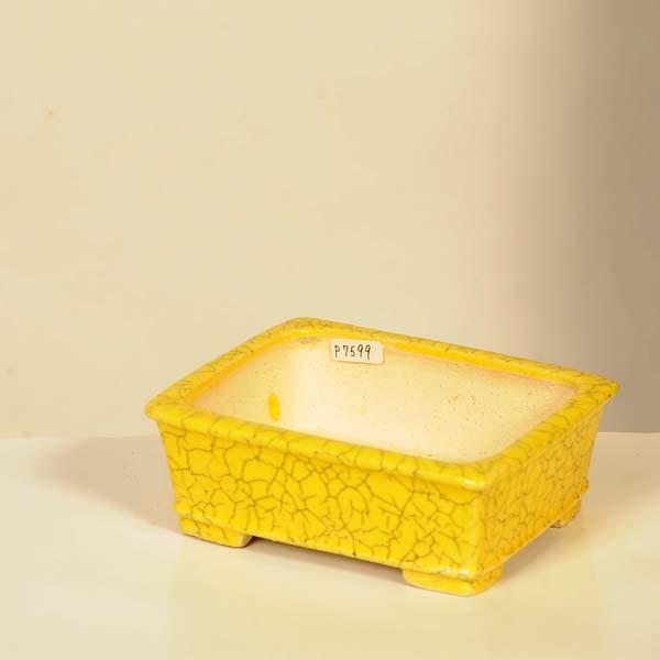 現代小鉢：柴勝 長方鉢【現品】*shibakatu 13.0cm : 遊恵盆栽 Yahoo!店