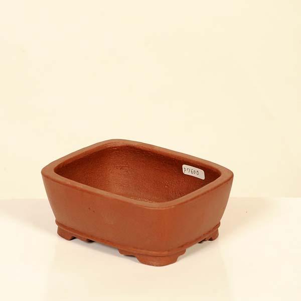 現代小鉢：柴勝 長方鉢【現品】*shibakatu 12.7cm : 遊恵盆栽 Yahoo!店