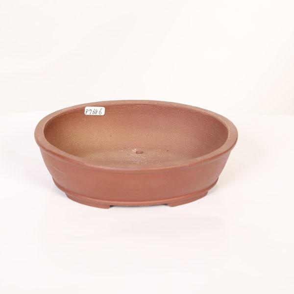 現代小鉢：柴勝 楕円鉢【現品】*shibakatu 15.5cm : 遊恵盆栽