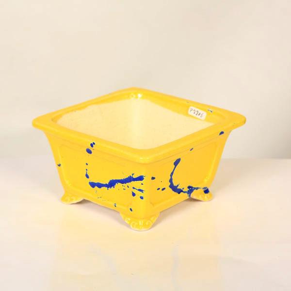 現代小鉢：柴勝 足付正方鉢【現品】*shibakatu 14.8cm : 遊恵盆栽