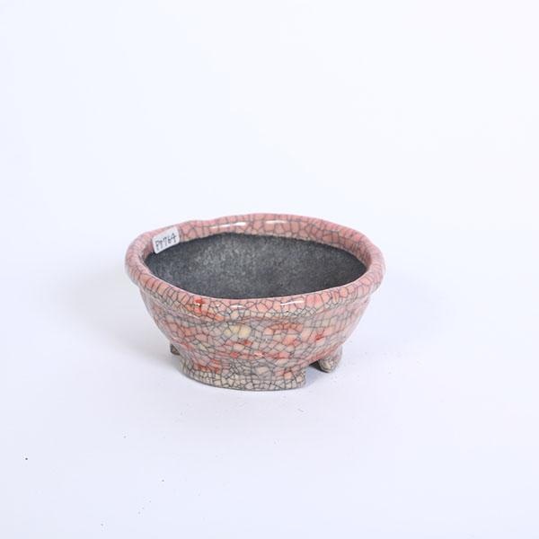 現代小鉢：越前文山(てるみ) 丸鉢 12.0cm【現品】*bunzan : 遊恵盆栽