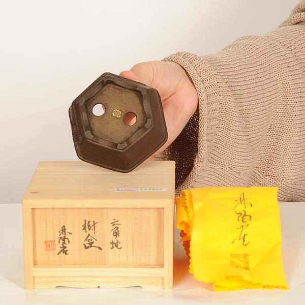 現代小鉢：陶雀 六角鉢『六角蛇』【現品】*toujyaku 9.0cm : 遊恵盆栽