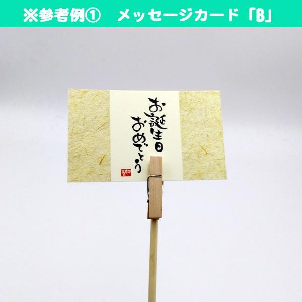 メッセージカード立て用 木製ピック : 遊恵盆栽 Yahoo!店 - 通販