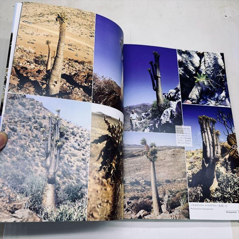 本：自生地の多肉植物: 世界各地の厳しい環境に生育する姿800点*資材