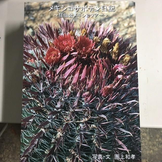 本 メキシコサボテン日記 狂仙会メキシコツアー S2810 遊恵盆栽 Yahoo 店 通販 Yahoo ショッピング