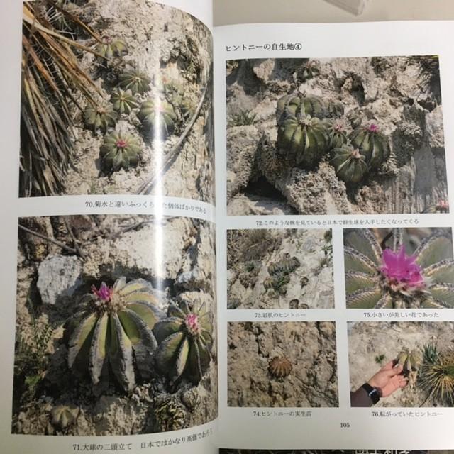本：メキシコサボテン日記〜狂仙会メキシコツアー〜*資材 : 遊恵盆栽