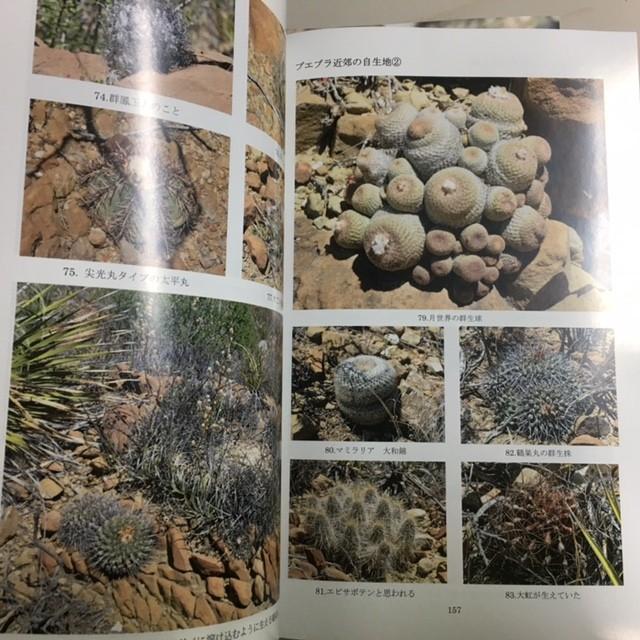 本：メキシコサボテン日記〜狂仙会メキシコツアー〜*資材 : 遊恵盆栽