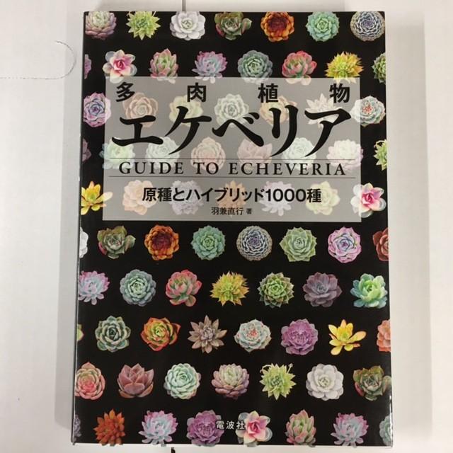 本：多肉植物エケベリア 原種とハイブリッド1000種*資材 : 遊恵盆栽