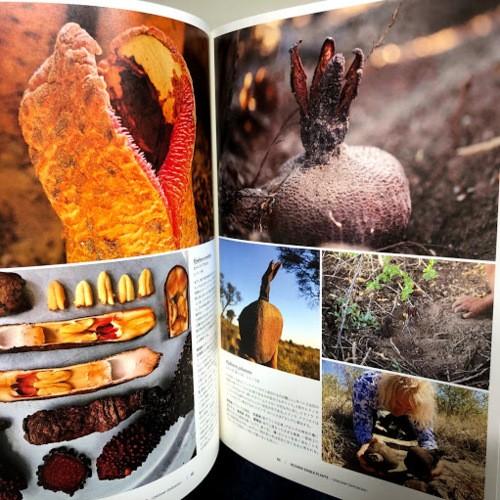 本：BIZARRE EDIBLE PLANTS -UNKNOWN DELICACIES-*資材 : 遊恵盆栽