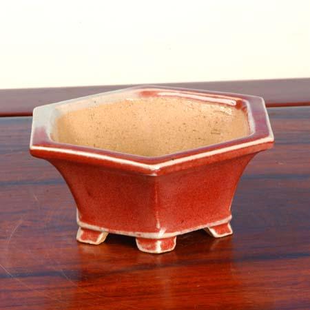 盆栽小鉢：柴勝 (六角鉢 11.8cm)*資材 : 遊恵盆栽 Yahoo!店 - 通販