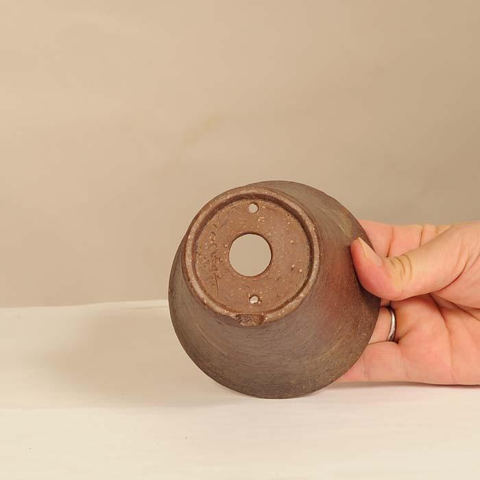 鴻陽盆栽鉢小品盆栽山野草