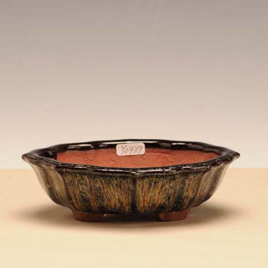 浩山　もっこ　盆栽鉢 盆栽小鉢：耀山 (剣もっこ鉢 15cm)*資材 : 遊恵盆栽 Yahoo!店 - 通販