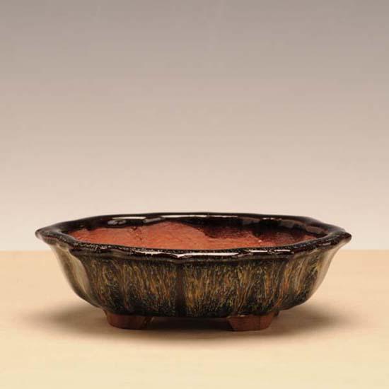 盆栽小鉢：耀山 (剣もっこ鉢 15cm)*資材 : 遊恵盆栽 Yahoo!店 - 通販
