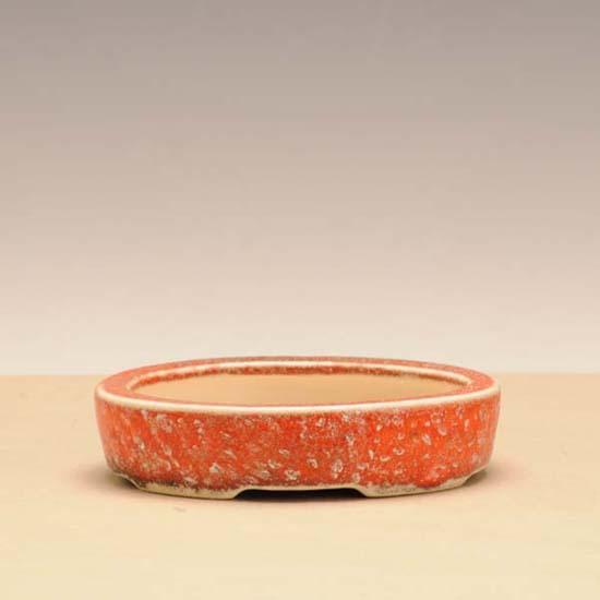 盆栽小鉢：御蔵山 (だ円鉢 12.6cm)*資材 : 遊恵盆栽 Yahoo!店 - 通販
