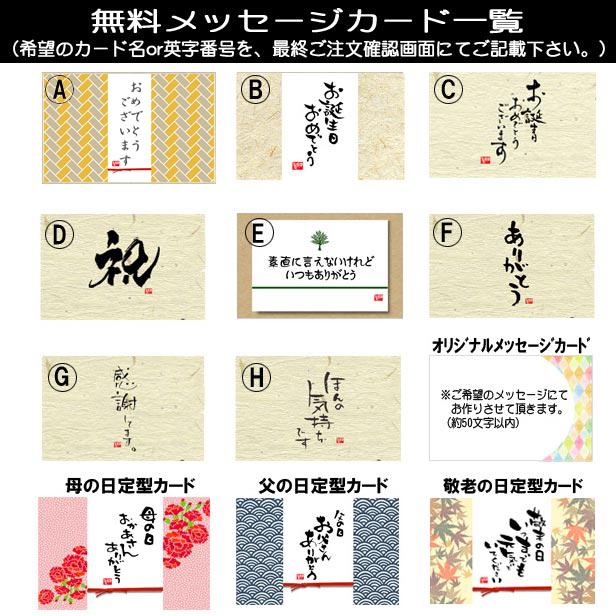 盆栽：しだれ富士桜（一重しだれ桜）*鉢選べます！＜2026年開花終了