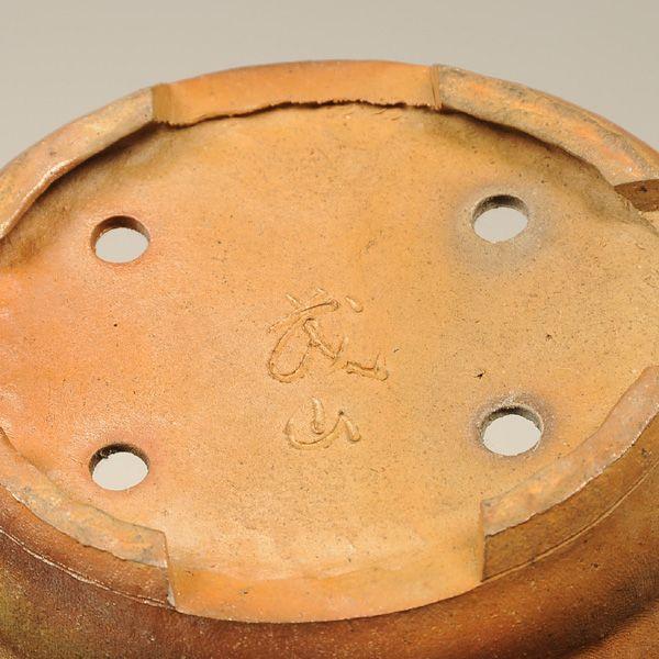 盆栽小鉢：茂山（楕円鉢 13.2cm）*資材 : 遊恵盆栽 Yahoo!店