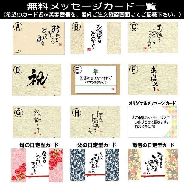 ミニ盆栽：松ぼっくりん(黒松)（モダン鉢)（受皿付）鉢選べますbonsai